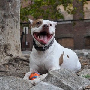 Meet your Posher, Carolyn